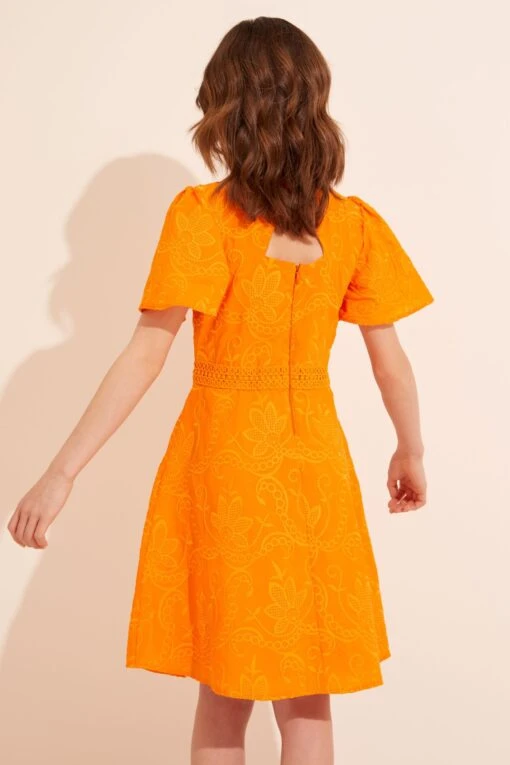 Lipsy Angel Sleeve Lace Occasion Dress -Style Haven Shop K47131s2 scaled